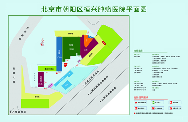 搞比大全爽插北京市朝阳区桓兴肿瘤医院平面图